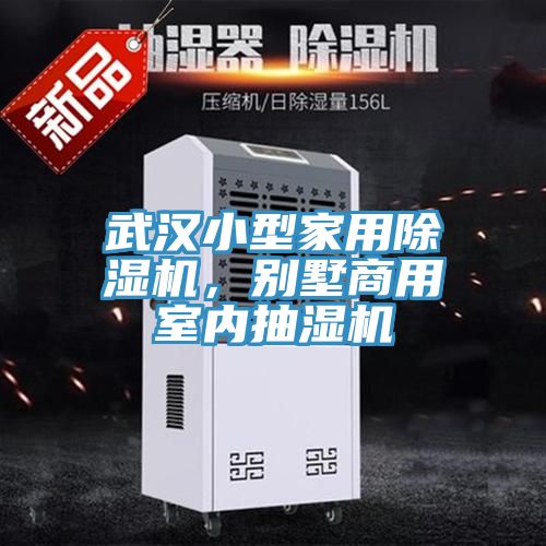 武漢小型家用除濕機，別墅商用室內抽濕機