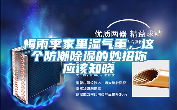 梅雨季家里濕氣重，這個防潮除濕的妙招你應該知曉
