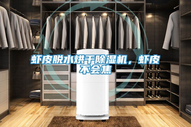 蝦皮脫水烘干除濕機，蝦皮不會焦