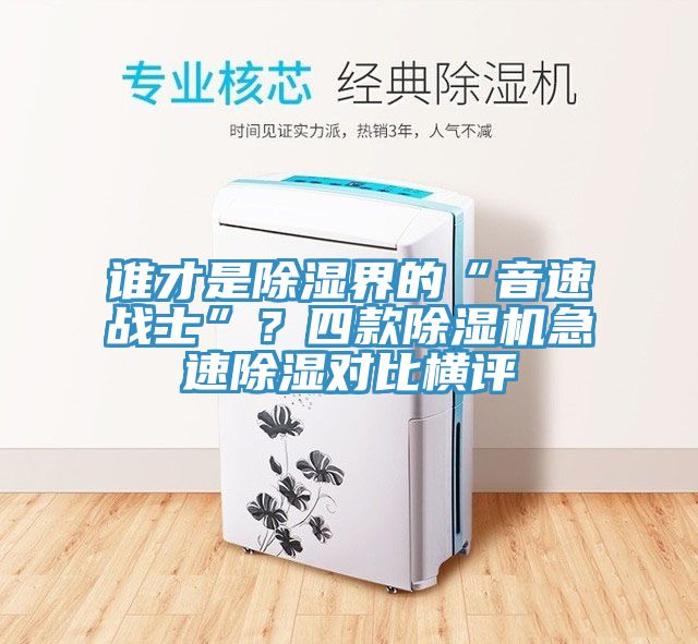 誰才是除濕界的“音速戰士”？四款除濕機急速除濕對比橫評