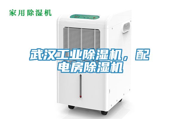 武漢工業除濕機，配電房除濕機