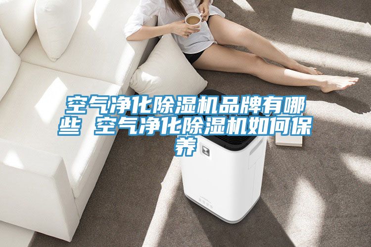 空氣凈化除濕機品牌有哪些 空氣凈化除濕機如何保養