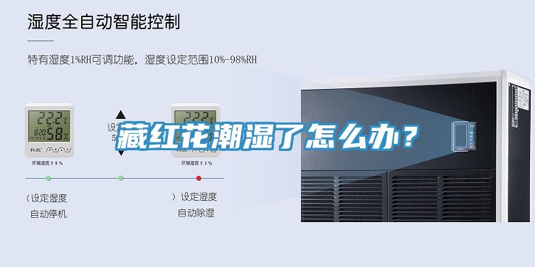 藏紅花潮濕了怎么辦？