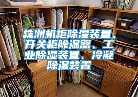 株洲機柜除濕裝置、開關柜除濕器、工業除濕裝置、冷凝除濕裝置