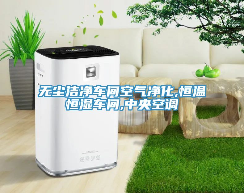 無塵潔凈車間空氣凈化,恒溫恒濕車間,中央空調