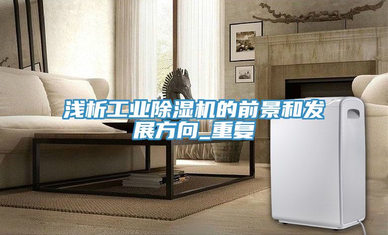淺析工業除濕機的前景和發展方向_重復