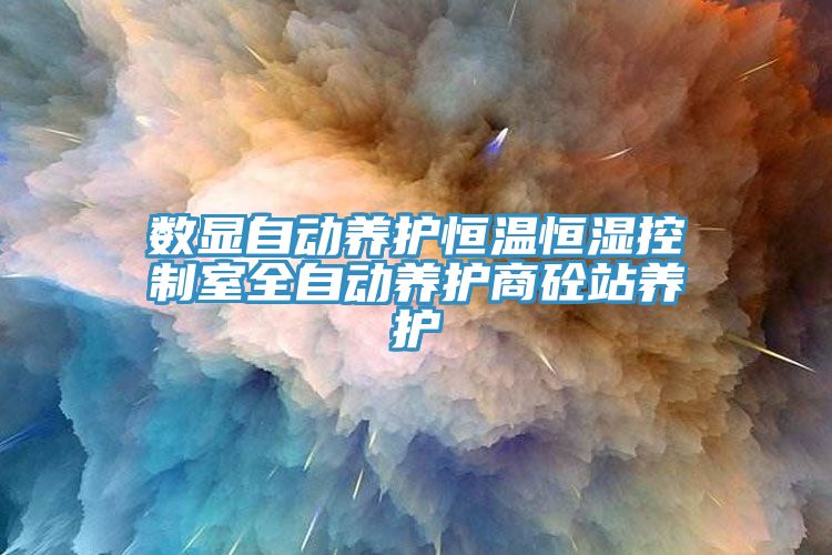 數顯自動養護恒溫恒濕控制室全自動養護商砼站養護