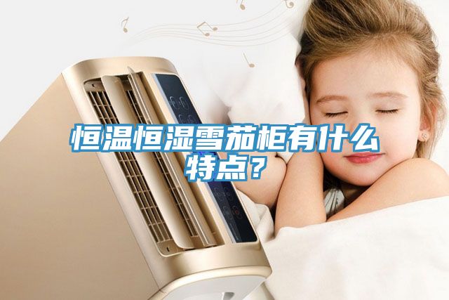 恒溫恒濕雪茄柜有什么特點？