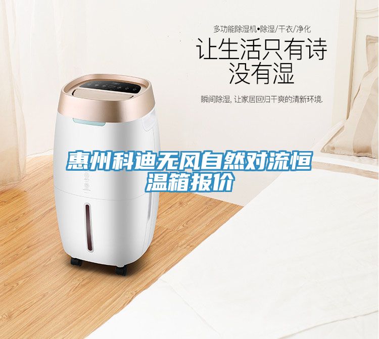 惠州科迪無風自然對流恒溫箱報價