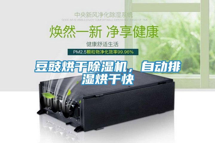 豆豉烘干除濕機，自動排濕烘干快