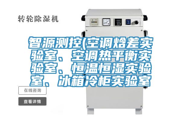 智源測控(空調焓差實驗室、空調熱平衡實驗室、恒溫恒濕實驗室、冰箱冷柜實驗室