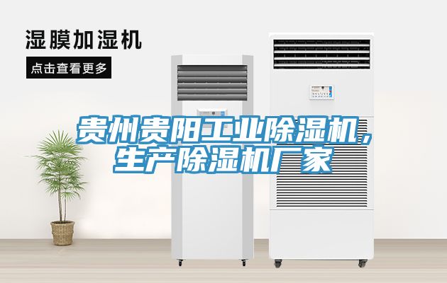 貴州貴陽工業除濕機，生產除濕機廠家