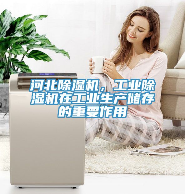 河北除濕機，工業除濕機在工業生產儲存的重要作用