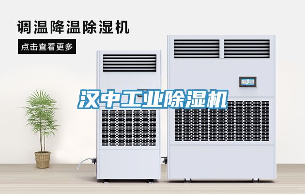 漢中工業除濕機