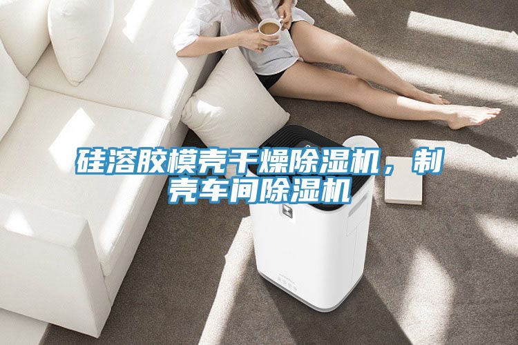 硅溶膠模殼干燥除濕機，制殼車間除濕機