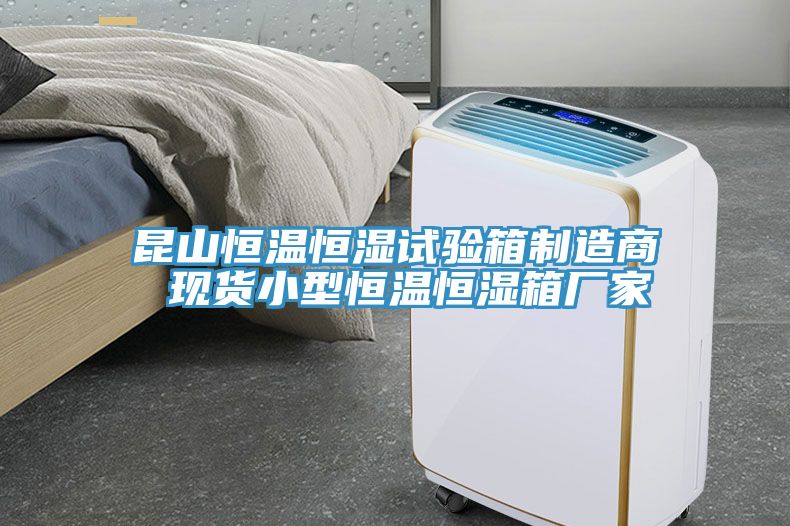 昆山恒溫恒濕試驗箱制造商 現貨小型恒溫恒濕箱廠家