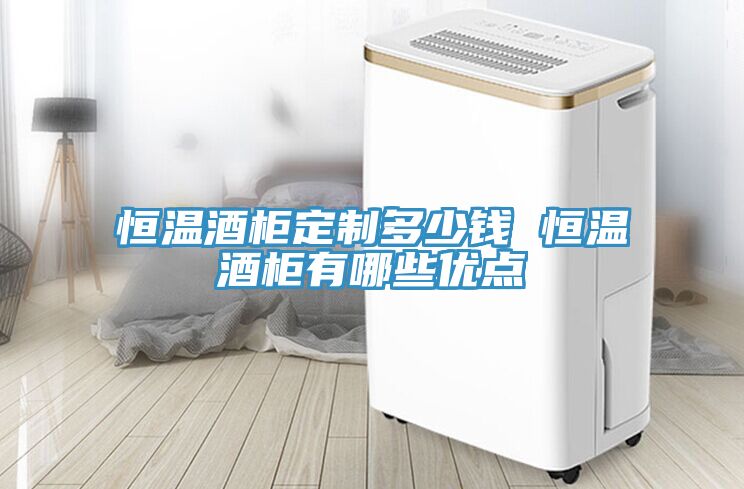 恒溫酒柜定制多少錢 恒溫酒柜有哪些優點