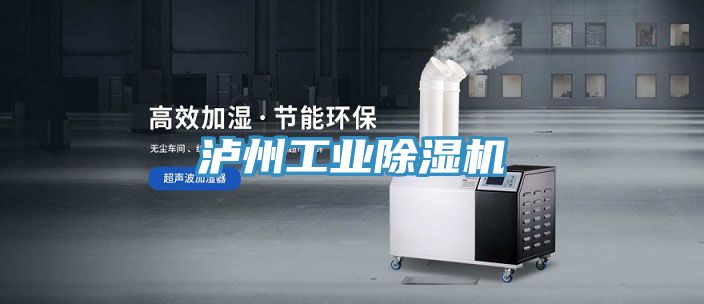 瀘州工業除濕機