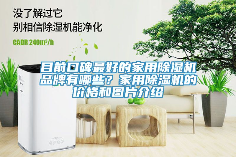 目前口碑最好的家用除濕機品牌有哪些？家用除濕機的價格和圖片介紹