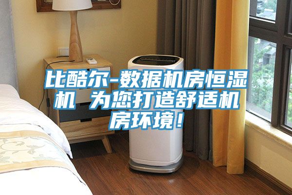 比酷爾-數據機房恒濕機 為您打造舒適機房環境！