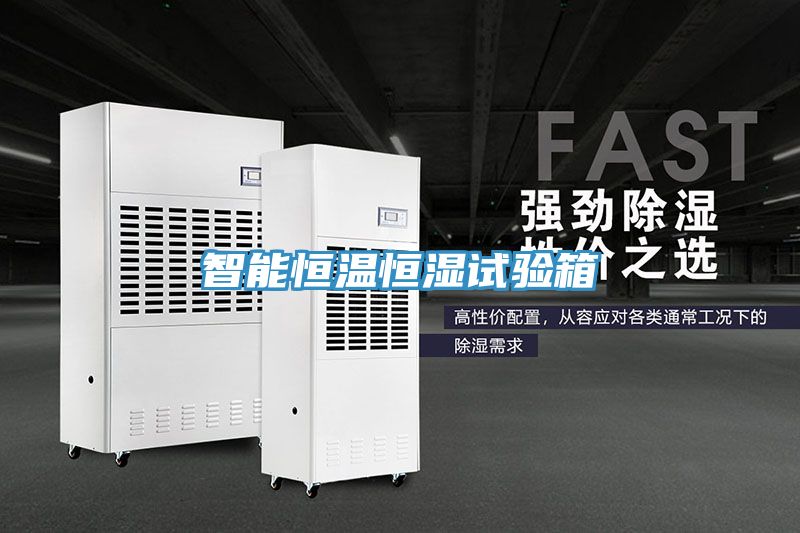 智能恒溫恒濕試驗箱