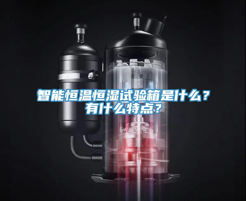 智能恒溫恒濕試驗箱是什么？有什么特點？