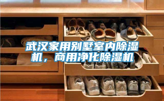 武漢家用別墅室內除濕機，商用凈化除濕機