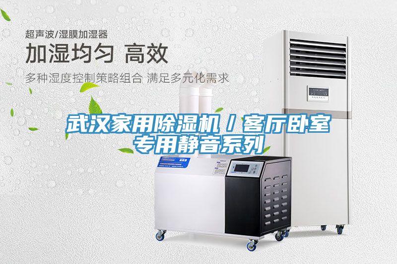 武漢家用除濕機／客廳臥室專用靜音系列