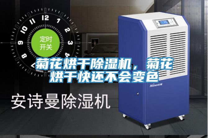 菊花烘干除濕機，菊花烘干快還不會變色