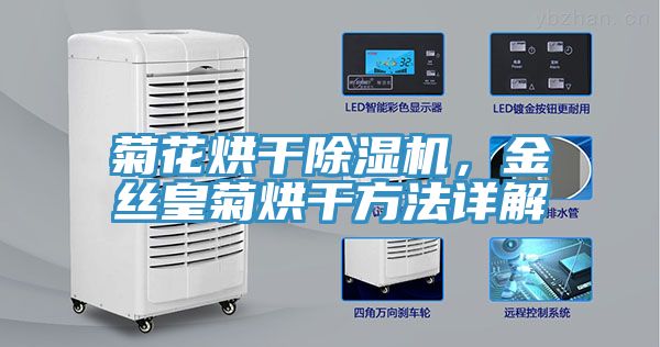 菊花烘干除濕機，金絲皇菊烘干方法詳解