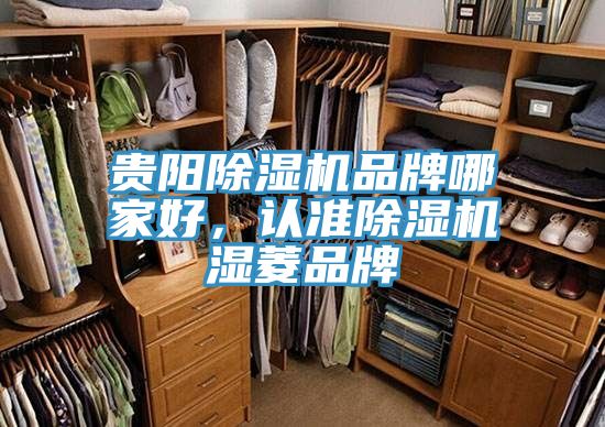貴陽除濕機品牌哪家好，認準除濕機濕菱品牌