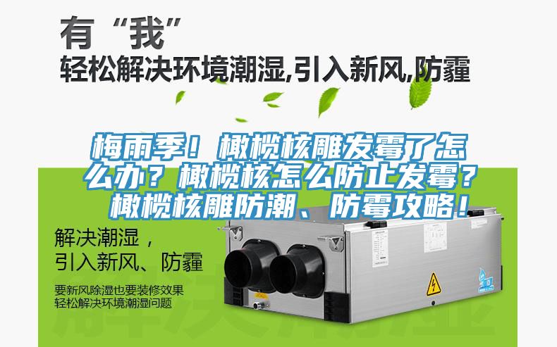 梅雨季！橄欖核雕發霉了怎么辦？橄欖核怎么防止發霉？ 橄欖核雕防潮、防霉攻略！
