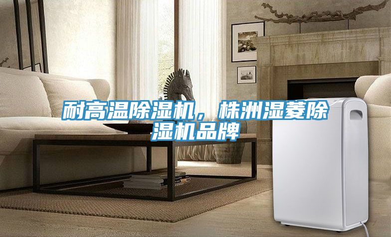 耐高溫除濕機，株洲濕菱除濕機品牌