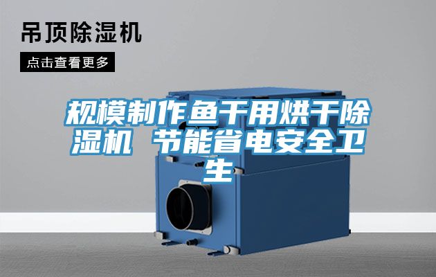 規模制作魚干用烘干除濕機 節能省電安全衛生