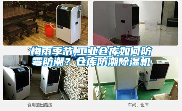 梅雨季節,工業倉庫如何防霉防潮？倉庫防潮除濕機