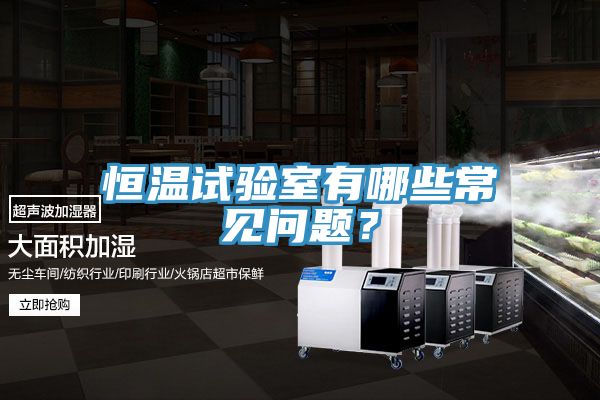 恒溫試驗室有哪些常見問題？