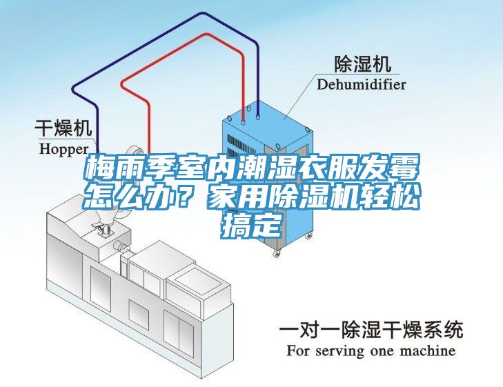 梅雨季室內潮濕衣服發霉怎么辦？家用除濕機輕松搞定
