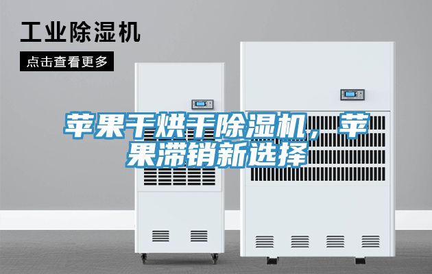 蘋果干烘干除濕機，蘋果滯銷新選擇