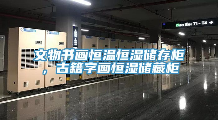 文物書畫恒溫恒濕儲存柜，古籍字畫恒濕儲藏柜