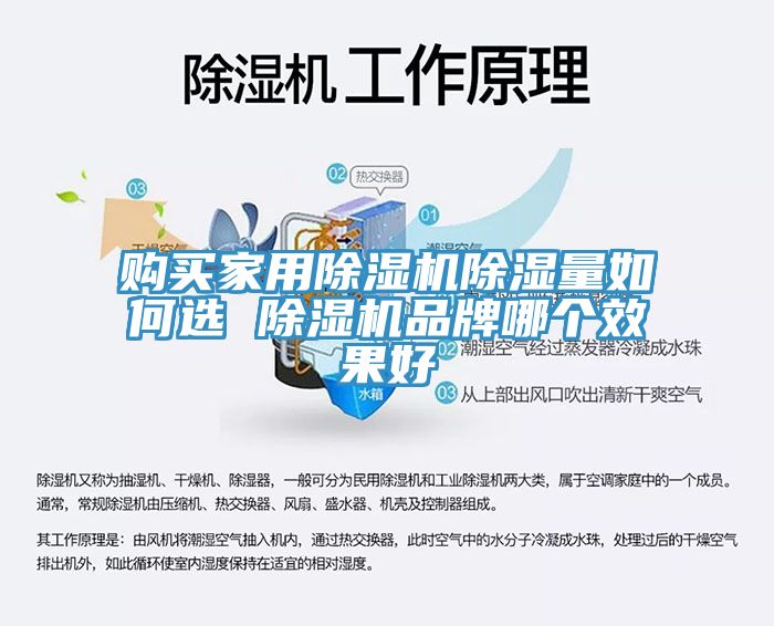 購買家用除濕機除濕量如何選 除濕機品牌哪個效果好