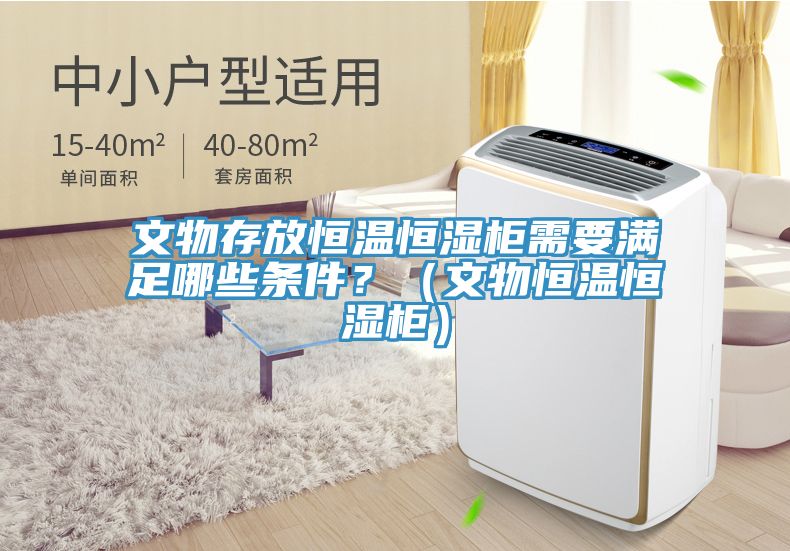 文物存放恒溫恒濕柜需要滿足哪些條件？（文物恒溫恒濕柜）