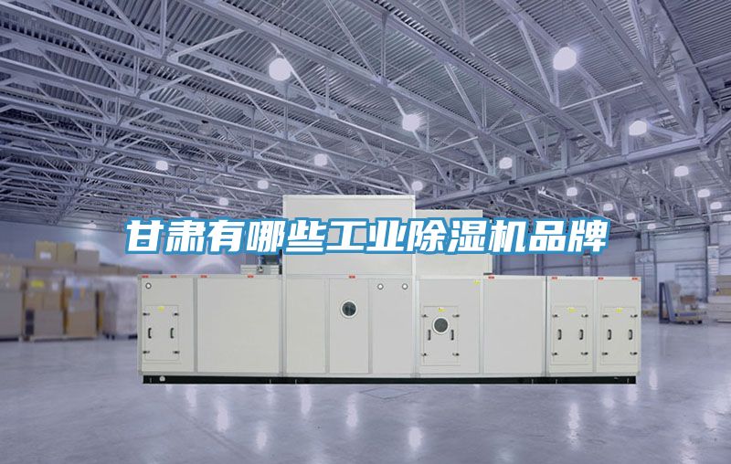 甘肅有哪些工業除濕機品牌