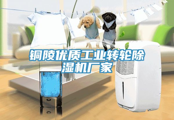 銅陵優質工業轉輪除濕機廠家
