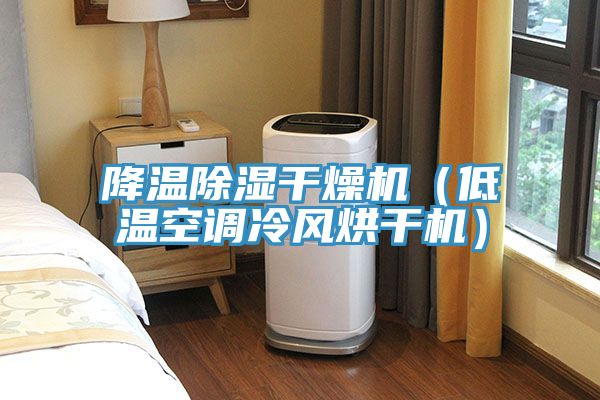 降溫除濕干燥機（低溫空調冷風烘干機）