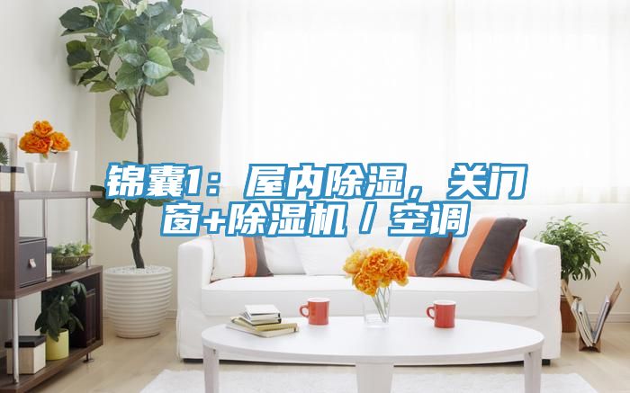 錦囊1：屋內除濕，關門窗+除濕機／空調