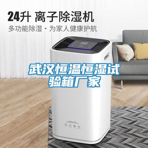 武漢恒溫恒濕試驗箱廠家