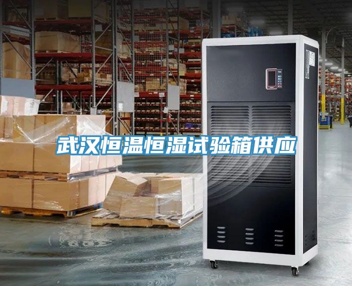 武漢恒溫恒濕試驗箱供應