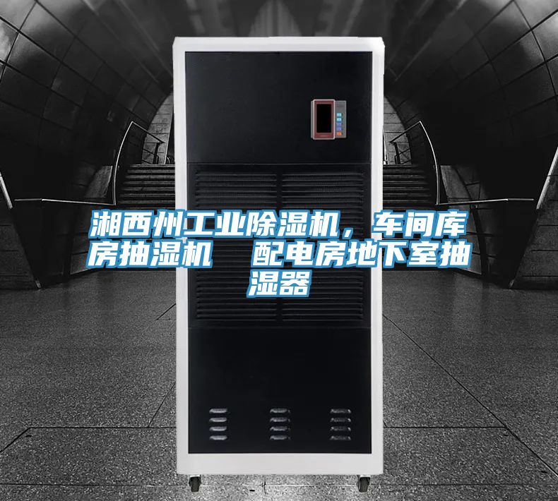 湘西州工業除濕機，車間庫房抽濕機  配電房地下室抽濕器