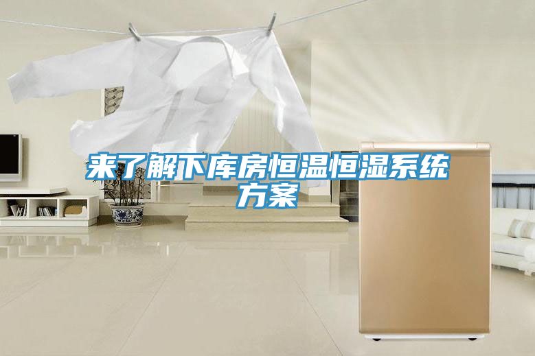 來了解下庫房恒溫恒濕系統方案