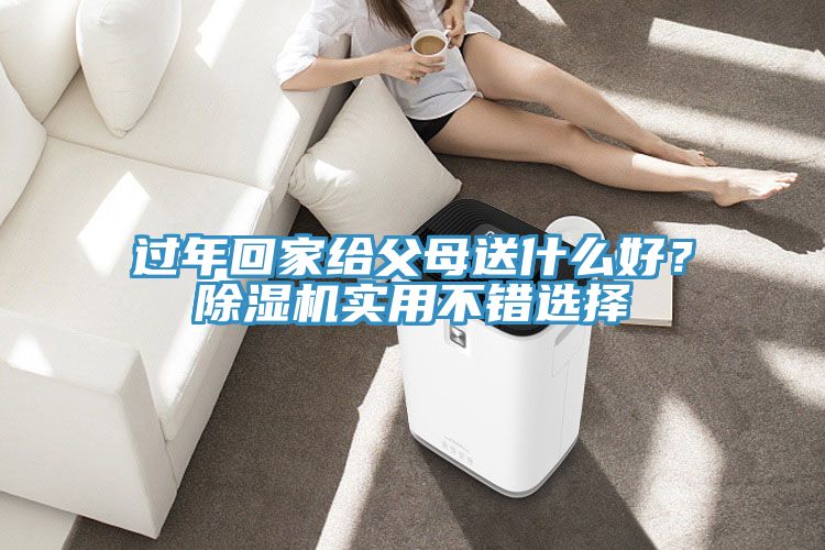 過年回家給父母送什么好？除濕機實用不錯選擇